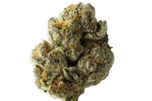 Cannamedical CM 30/1 DM