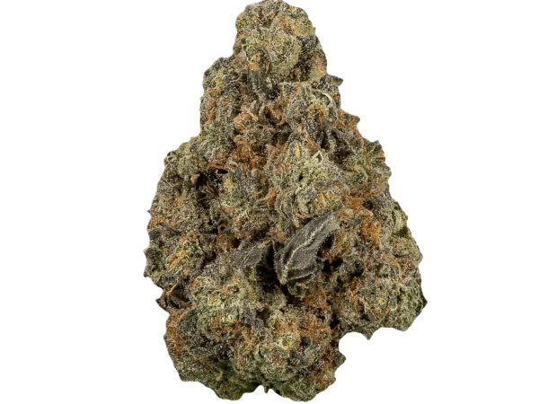 Medicus 21/1 EZA WEC