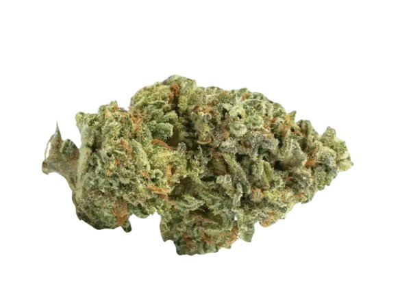 420 Evolution 20/1 CA LCG