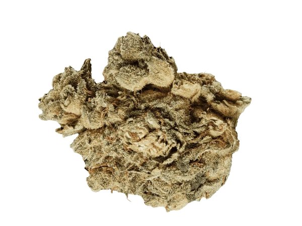 420 Evolution 20/1 CA PVB