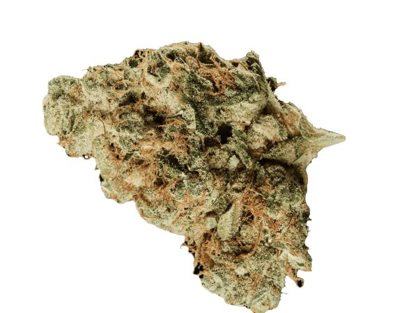 420 Evolution 30/1 CA FRG