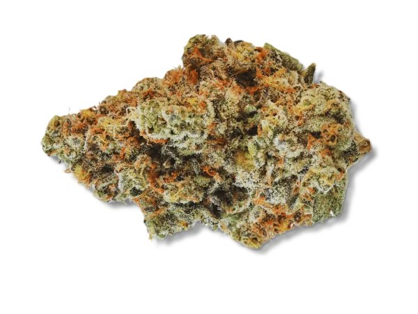 420 Evolution 30/1 CA WES