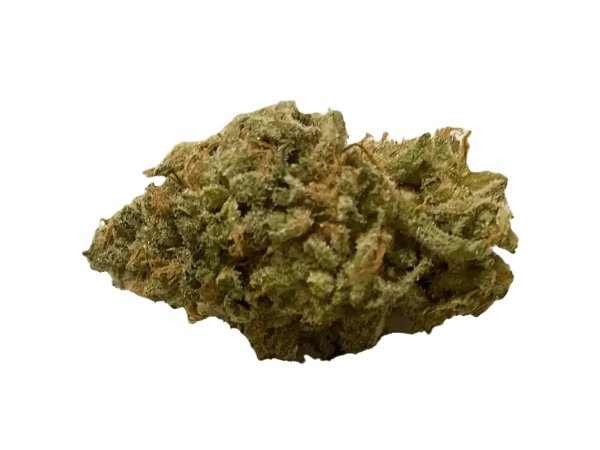 420 Evolution 30/1 FLM CA