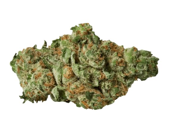 420 Natural 30/1 CA TGO