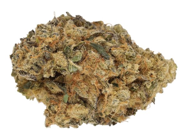 Cannamedical Sativa forte Animal Tree