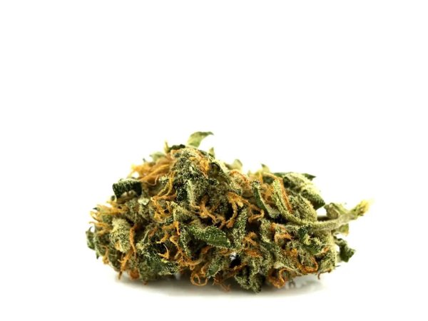 Aphria Typ 1 Bienville