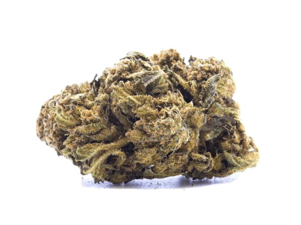 Aurora 22/1