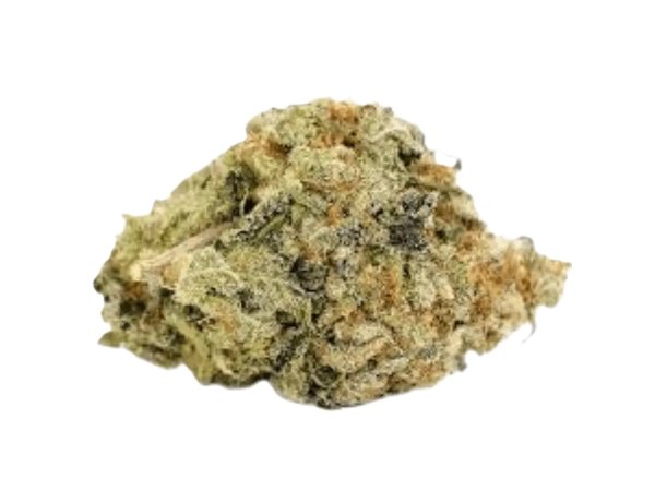Barrocas PMK 26/1 Premium