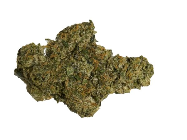 Bathera 23/1 PMM