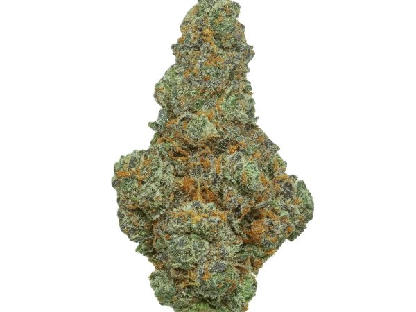 Bathera THC Akut BF 28