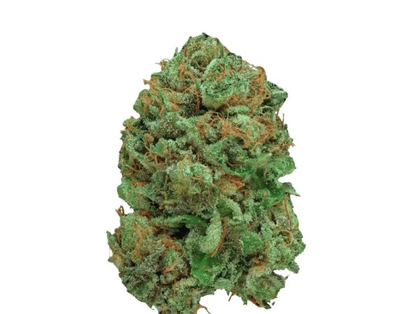 Canify Cannabis Flos 20/1 CSF