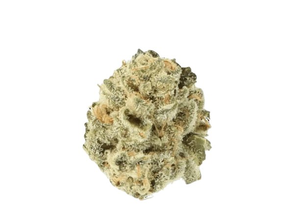 Cannamedical Indica forte El Jefe