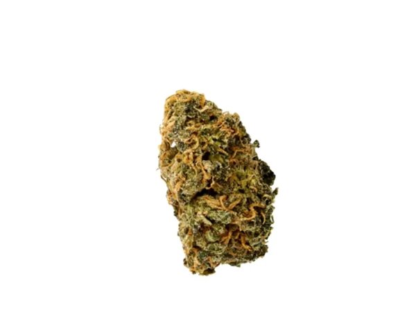 Cannamedical Sativa Forte NM