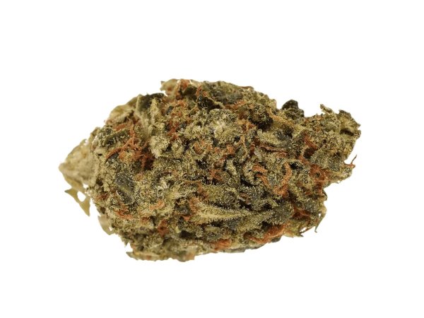 Cannamedical Sativa forte NM