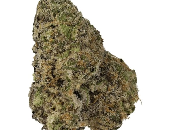 Cannamedical Sativa forte NM