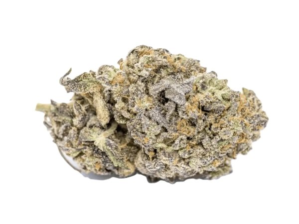 Cirrus Indica 5 27/1