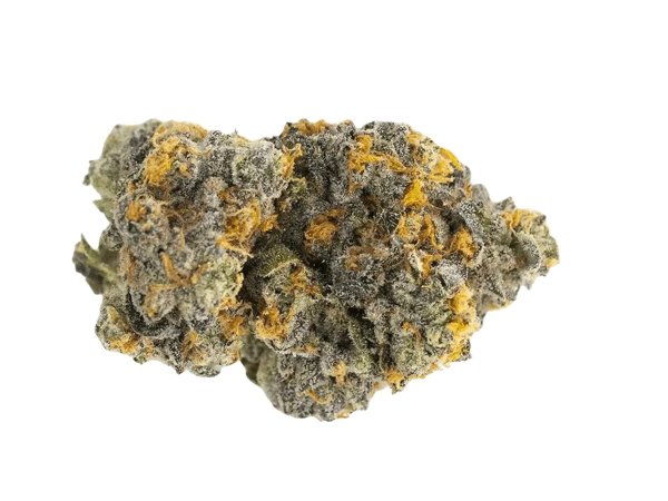 Drapalin 31/1 Da Fux