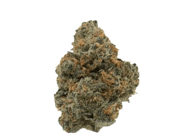 Gestion Cannabec OS 21/1