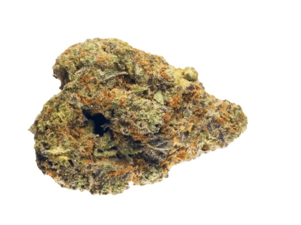 Gestion Cannabec PC 21/1