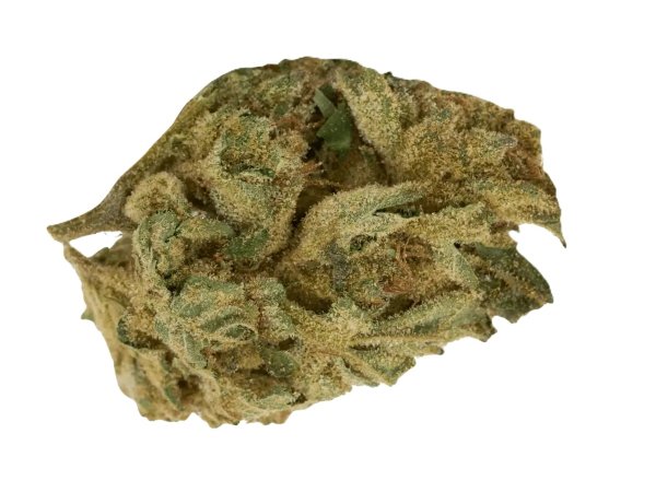 HiSociety 27/1 CAN DEB