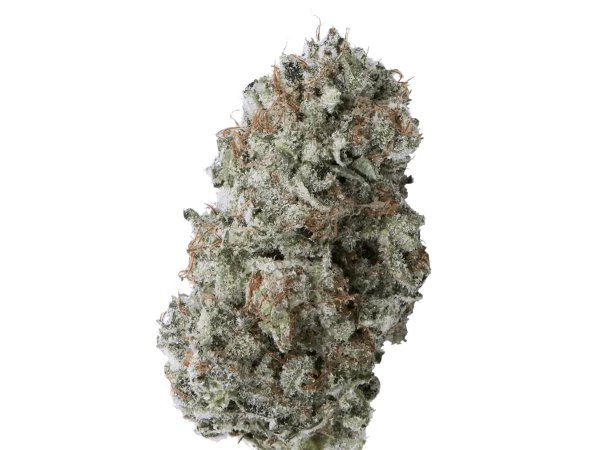 IMC AGD THC25 Afghani Drifter