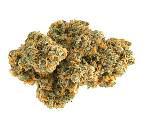 IMC GC THC5 CBD9