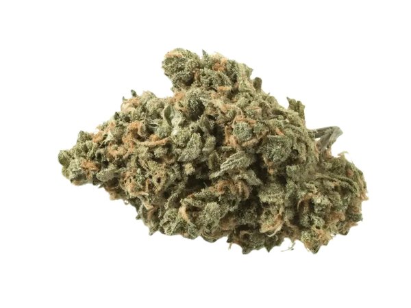 IMC GUM THC26 Selected