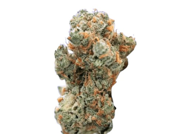 IMC PDE THC27
