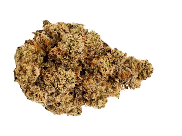 LOT 420 GLOC