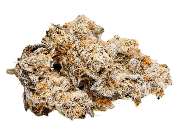 LOT 420 OC