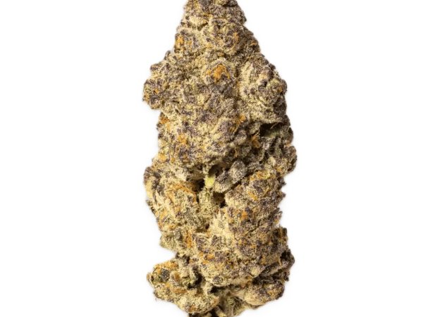 MCOS Strong 27/1 MDOC PXY