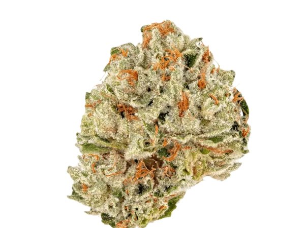 MediCann 21/1 MC Oro 21