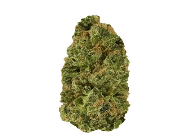 Medicus 27/1 EZA DSD