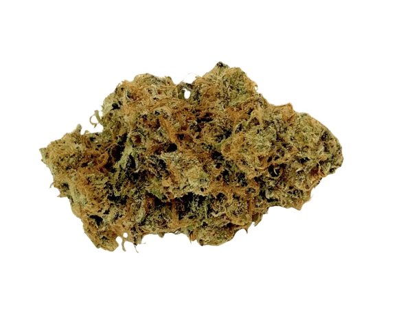 Mediprocan African Ruby 28/1