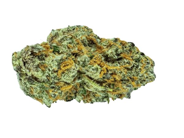 Mediprocan African Ruby 30/1