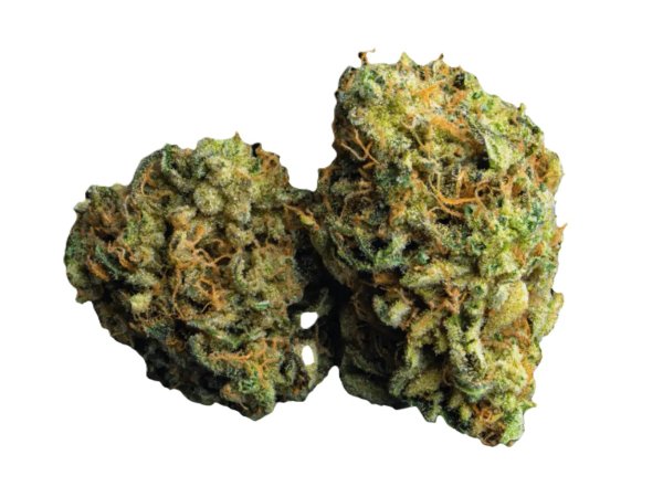NICE 26/1 LC Lemon Cookies
