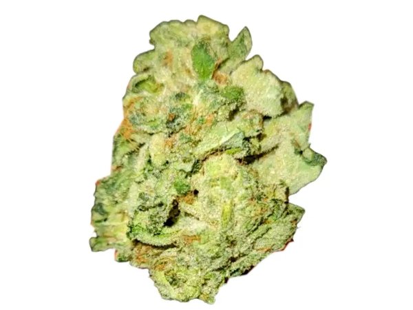 Navcora THC 18 Spotlight Porto Galaxy Walker