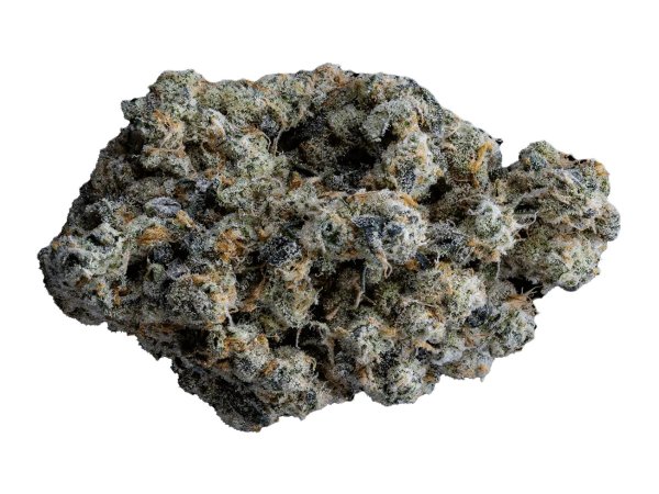 Organic Sweetgrass CB 25/1