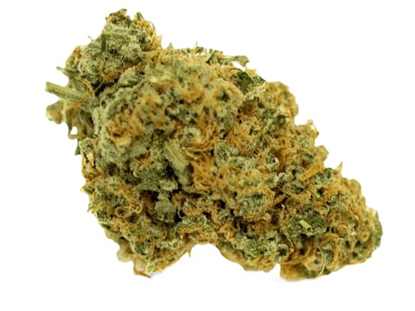 Origine Nature CHEM 25/1