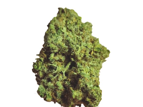 Origine Nature GG 21/1