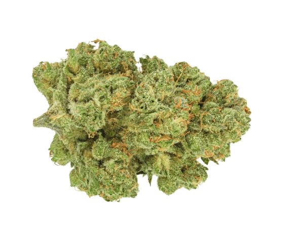 Remexian 21/1 RAS ALB