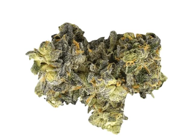 WEECO Dragon 26/1