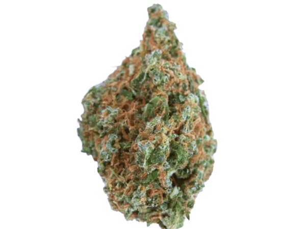 MCOS Strong 27/1 MDOC PXY