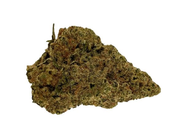 Sibanax MCF 23/1 Mac Fem