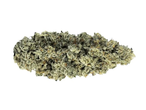 Soma OG 34/1 PF