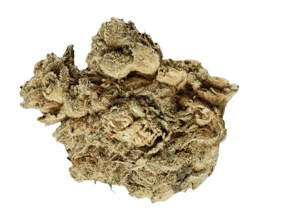 Tilray Craft THC28 PPV