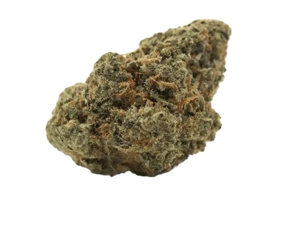 Truth Holdings LH 29/1