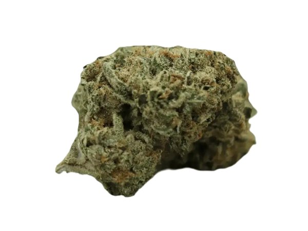 Weeco 23/1 KL Prince Louis