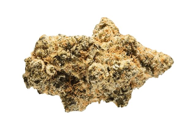 avaay Signature 28/1 WB