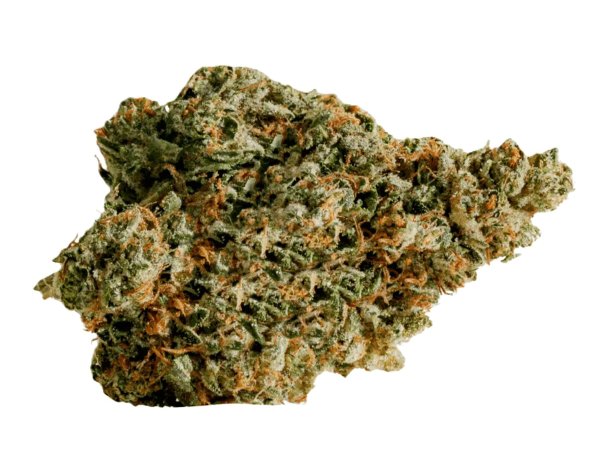 enua 20/1 DB CA Pink Kush